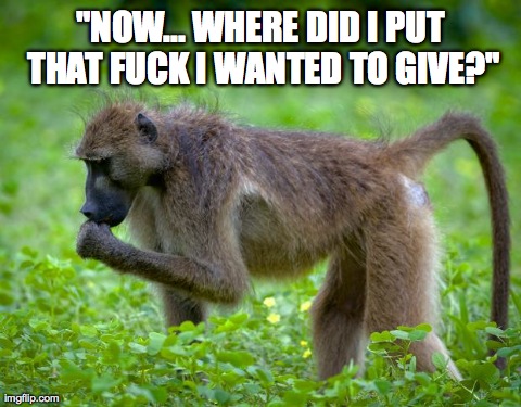 "NOW... WHERE DID I PUT THAT F**K I WANTED TO GIVE?" | image tagged in baboon looking on ground | made w/ Imgflip meme maker