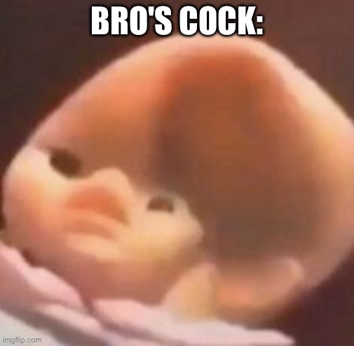 squished baby face | BRO'S COCK: | image tagged in squished baby face | made w/ Imgflip meme maker