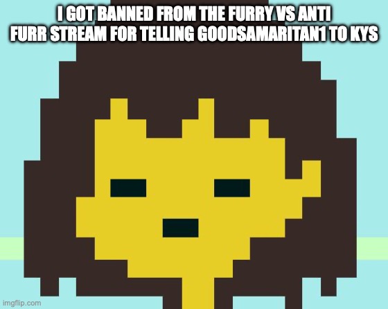 Frisk's face | I GOT BANNED FROM THE FURRY VS ANTI FURR STREAM FOR TELLING GOODSAMARITAN1 TO KYS | image tagged in frisk's face | made w/ Imgflip meme maker