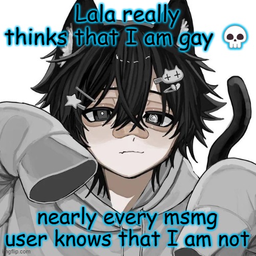 tfym I ain't masculine? | Lala really thinks that I am gay 💀; nearly every msmg user knows that I am not | image tagged in tfym i ain't masculine | made w/ Imgflip meme maker