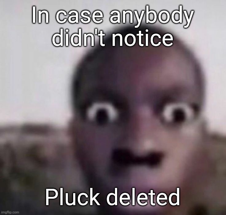 bruh what | In case anybody didn't notice; Pluck deleted | image tagged in bruh what | made w/ Imgflip meme maker