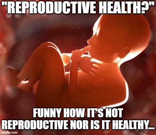 "Reproductive" Unhealth | "REPRODUCTIVE HEALTH?"; FUNNY HOW IT'S NOT REPRODUCTIVE NOR IS IT HEALTHY... | image tagged in thinking fetus,reproductive,unhealthy | made w/ Imgflip meme maker