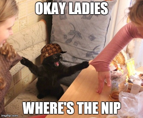 OKAY LADIES WHERE'S THE NIP | image tagged in funny,cats | made w/ Imgflip meme maker