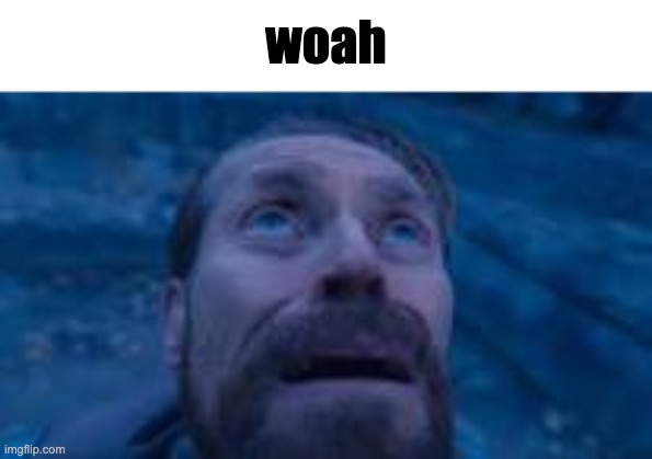 man looking up | woah | image tagged in man looking up | made w/ Imgflip meme maker