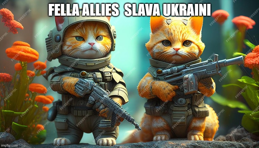 #NAFO cats 1 | FELLA ALLIES  SLAVA UKRAINI | image tagged in meme | made w/ Imgflip meme maker