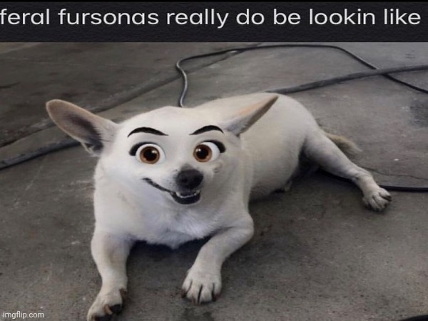 Realistic fursonas: | image tagged in furry,fursona,cute | made w/ Imgflip meme maker