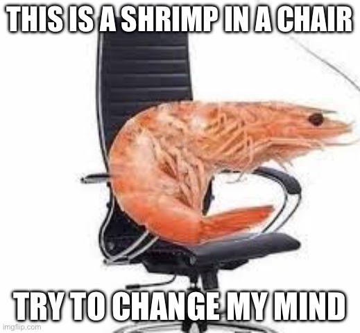 chair shrimp | THIS IS A SHRIMP IN A CHAIR; TRY TO CHANGE MY MIND | image tagged in chair shrimp | made w/ Imgflip meme maker