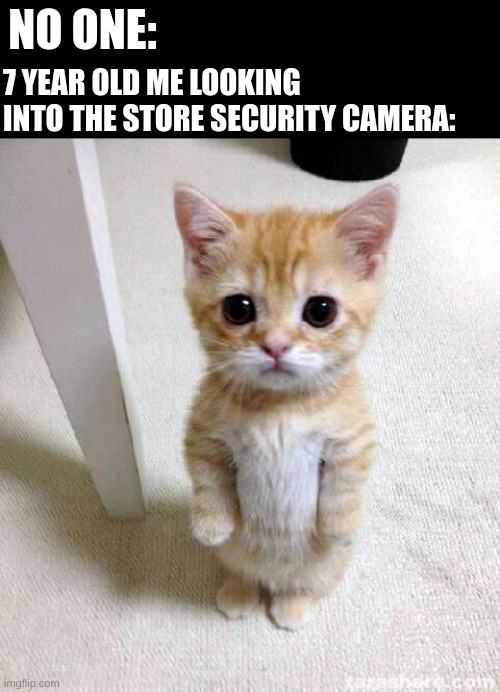 Cute Cat | NO ONE:; 7 YEAR OLD ME LOOKING INTO THE STORE SECURITY CAMERA: | image tagged in memes,cute cat | made w/ Imgflip meme maker