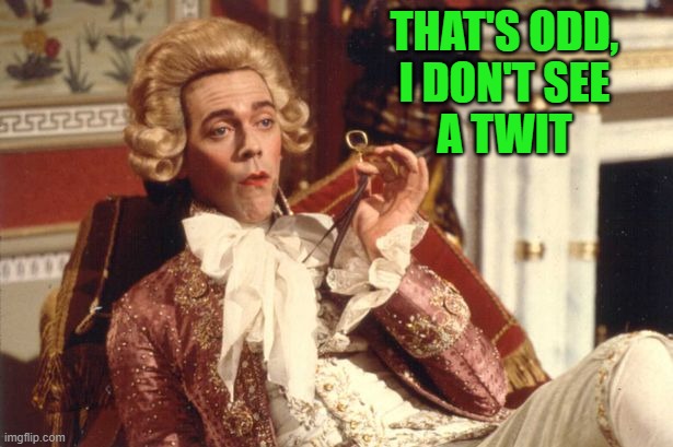 I don't see a twit | THAT'S ODD,
I DON'T SEE
A TWIT | image tagged in prince george blackadder | made w/ Imgflip meme maker