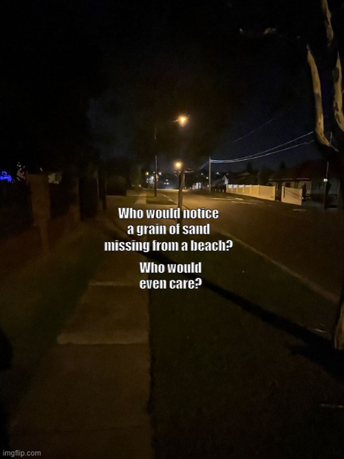 Late night walk | Who would even care? Who would notice a grain of sand missing from a beach? | image tagged in late night walk | made w/ Imgflip meme maker