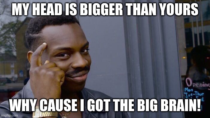 Big brain | MY HEAD IS BIGGER THAN YOURS; WHY CAUSE I GOT THE BIG BRAIN! | image tagged in memes,roll safe think about it | made w/ Imgflip meme maker