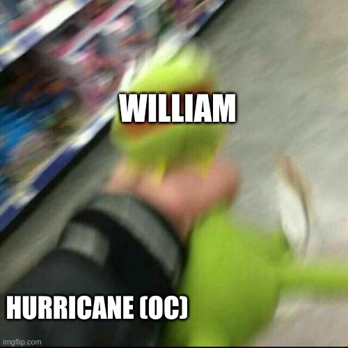Hurricane's just casually ripping his head off. (WAKE UP! FNAF AU) | WILLIAM; HURRICANE (OC) | image tagged in kermit strangle | made w/ Imgflip meme maker