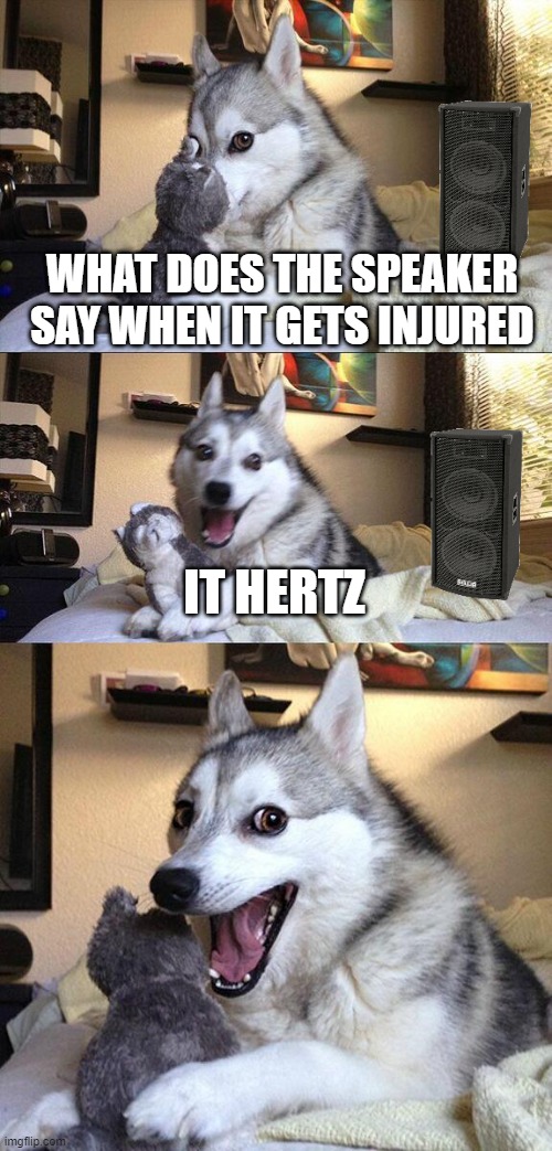 speaker got injured | WHAT DOES THE SPEAKER SAY WHEN IT GETS INJURED; IT HERTZ | image tagged in memes,bad pun dog,hertz,speaker,eyeroll | made w/ Imgflip meme maker