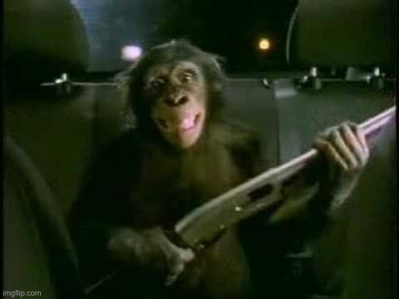 Trunk Monkey with gun | image tagged in trunk monkey with gun | made w/ Imgflip meme maker
