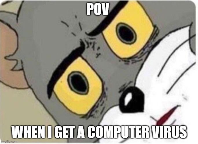 Tom and Jerry meme | POV; WHEN I GET A COMPUTER VIRUS | image tagged in tom and jerry meme | made w/ Imgflip meme maker
