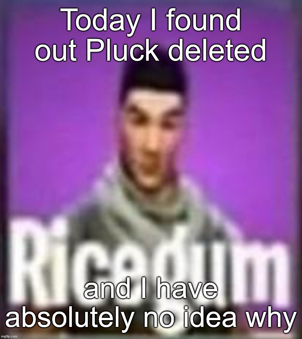 Ricegum | Today I found out Pluck deleted; and I have absolutely no idea why | image tagged in ricegum | made w/ Imgflip meme maker