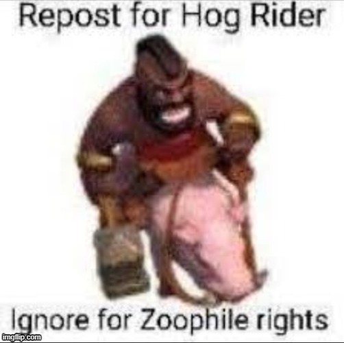 idk | image tagged in hog rider | made w/ Imgflip meme maker