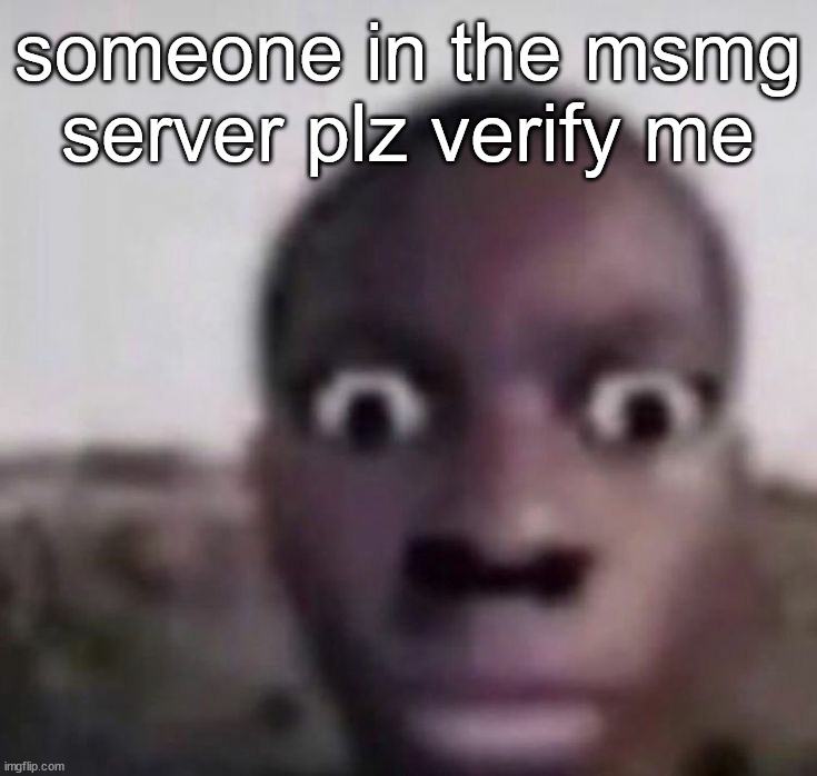 bruh what | someone in the msmg server plz verify me | image tagged in bruh what | made w/ Imgflip meme maker