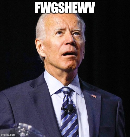 Joe Biden | FWGSHEWV | image tagged in joe biden | made w/ Imgflip meme maker