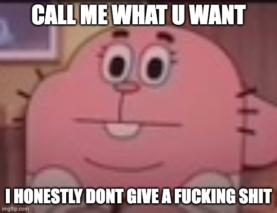 Richard Watterson staring | CALL ME WHAT U WANT I HONESTLY DONT GIVE A FUCKING SHIT | image tagged in richard watterson staring | made w/ Imgflip meme maker