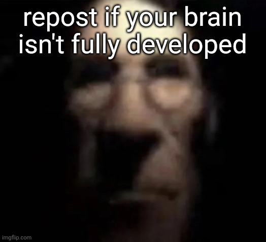 the brain isn't fully mature until your.mid/late 20s | repost if your brain isn't fully developed | image tagged in tf2 medic stare | made w/ Imgflip meme maker