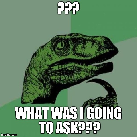 Philosoraptor | ??? WHAT WAS I GOING TO ASK??? | image tagged in memes,philosoraptor | made w/ Imgflip meme maker