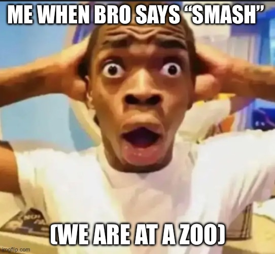AYO | ME WHEN BRO SAYS “SMASH”; (WE ARE AT A ZOO) | image tagged in surprised black guy | made w/ Imgflip meme maker