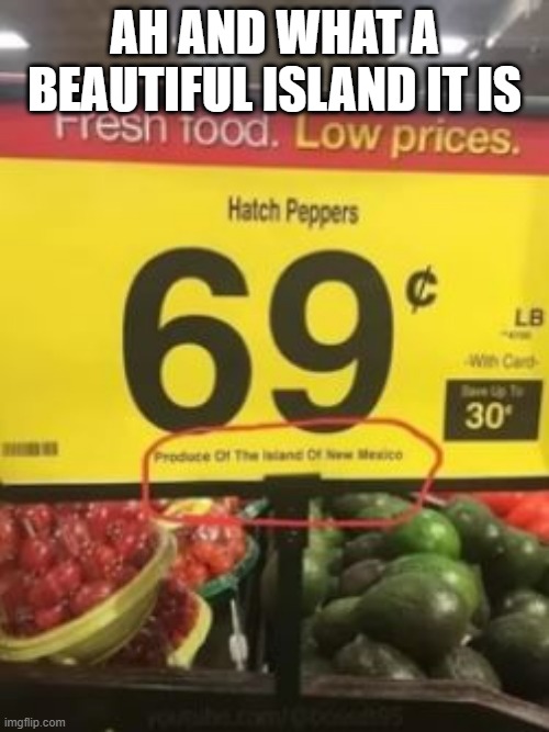 Island | AH AND WHAT A BEAUTIFUL ISLAND IT IS | image tagged in you had one job | made w/ Imgflip meme maker