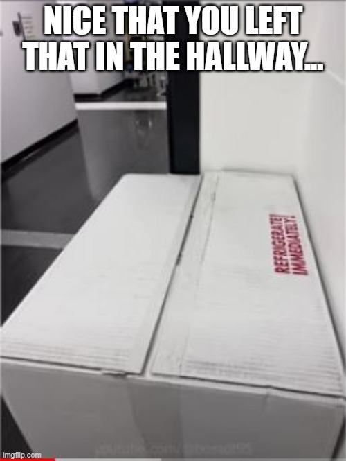 Refrigerate Immediately | NICE THAT YOU LEFT THAT IN THE HALLWAY... | image tagged in you had one job | made w/ Imgflip meme maker
