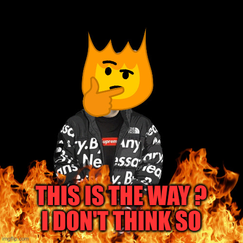 memer drip man on fire | THIS IS THE WAY ?
I DON'T THINK SO | image tagged in memer drip man on fire | made w/ Imgflip meme maker