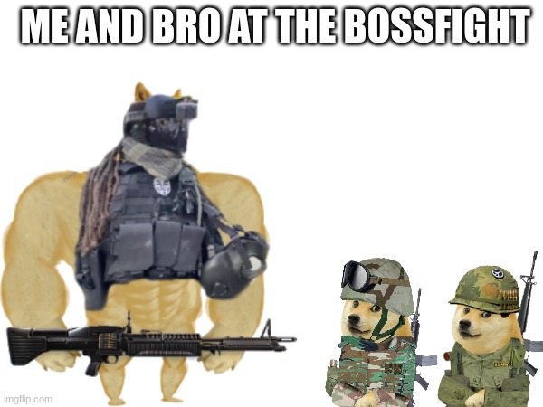 fax | ME AND BRO AT THE BOSSFIGHT | image tagged in doge | made w/ Imgflip meme maker