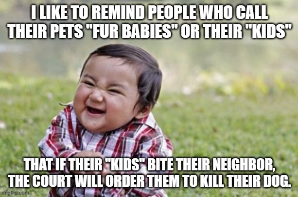 Evil Toddler Meme | I LIKE TO REMIND PEOPLE WHO CALL THEIR PETS "FUR BABIES" OR THEIR "KIDS" THAT IF THEIR "KIDS" BITE THEIR NEIGHBOR, THE COURT WILL ORDER THEM | image tagged in memes,evil toddler | made w/ Imgflip meme maker