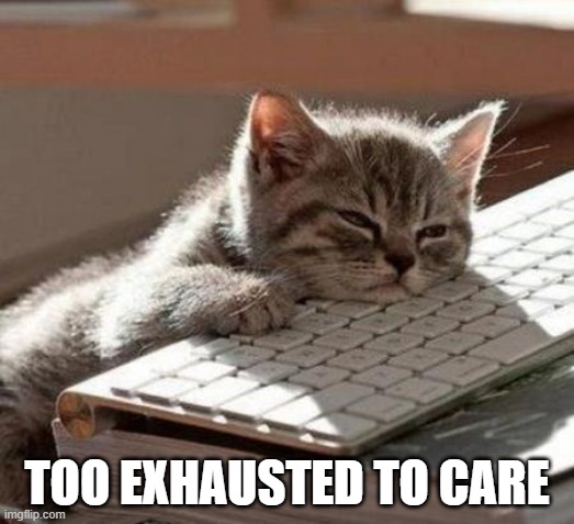 Too Tired to Care | TOO EXHAUSTED TO CARE | image tagged in tired cat,tired,funny | made w/ Imgflip meme maker