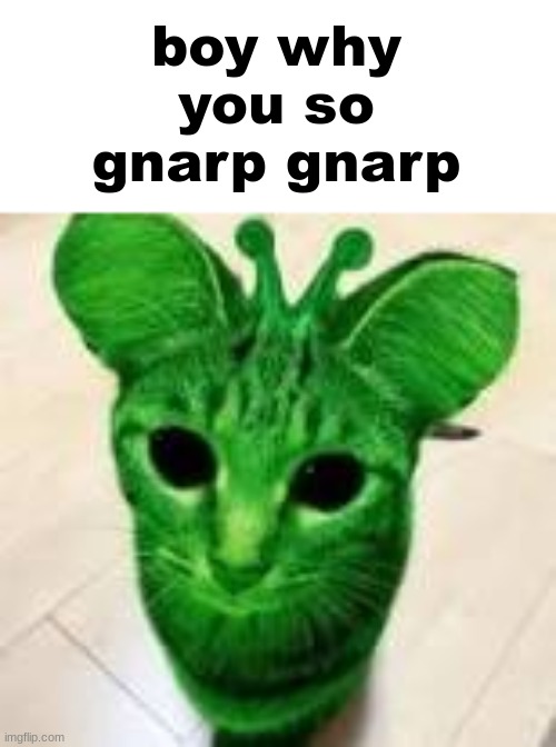 alien cat | boy why you so gnarp gnarp | image tagged in alien cat | made w/ Imgflip meme maker