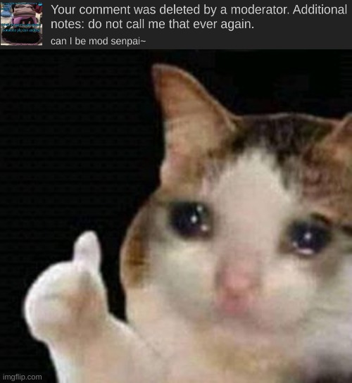 :c (mod note: call me that again and I swear word you) | image tagged in sad thumbs up cat | made w/ Imgflip meme maker
