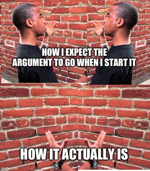 Its not my fault, I swear | HOW I EXPECT THE ARGUMENT TO GO WHEN I START IT; HOW IT ACTUALLY IS | image tagged in talking to wall,relatable,relatable memes,funny memes,funny,etc | made w/ Imgflip meme maker