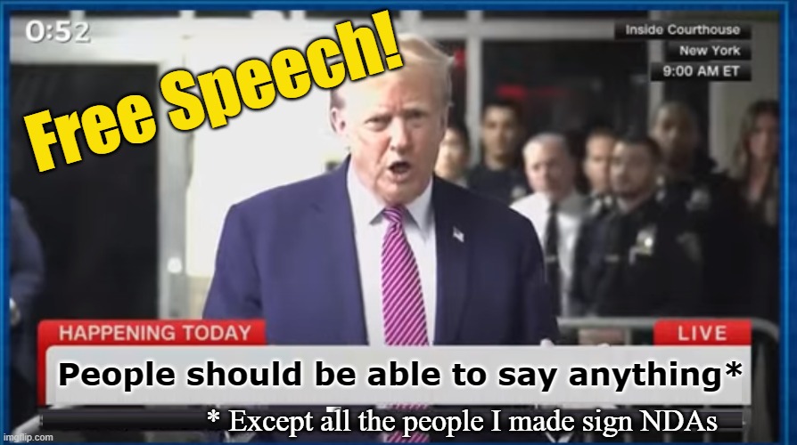 Free Speech! | Free Speech! People should be able to say anything*; * Except all the people I made sign NDAs | image tagged in freedom of speech,trump,trump on trial | made w/ Imgflip meme maker