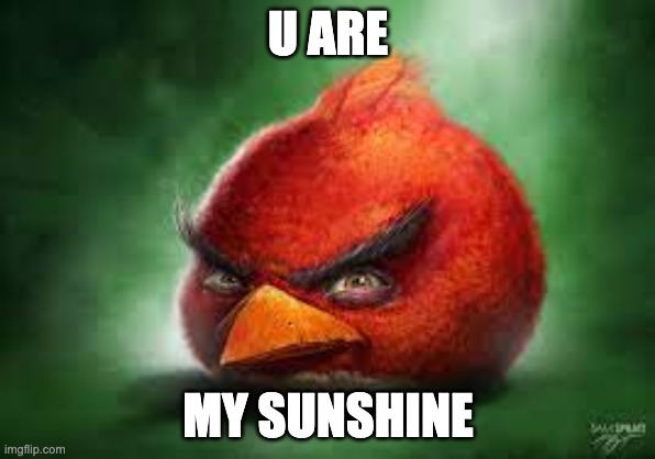 Realistic Red Angry Birds | U ARE; MY SUNSHINE | image tagged in realistic red angry birds | made w/ Imgflip meme maker