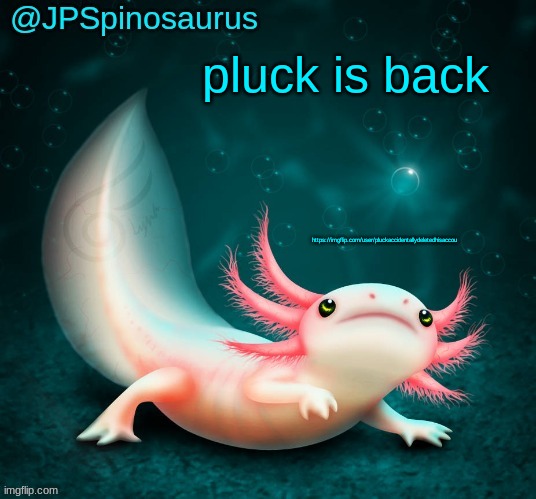 JPSpinosaurus's axolotl announcement temp | pluck is back; https://imgflip.com/user/pluckaccidentallydeletedhisaccou | image tagged in jpspinosaurus's axolotl announcement temp | made w/ Imgflip meme maker