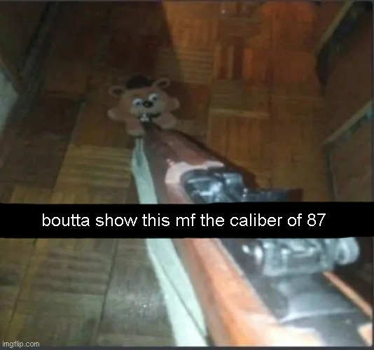 the caliber of 87 | boutta show this mf the caliber of 87 | image tagged in gun pointing at freddy | made w/ Imgflip meme maker