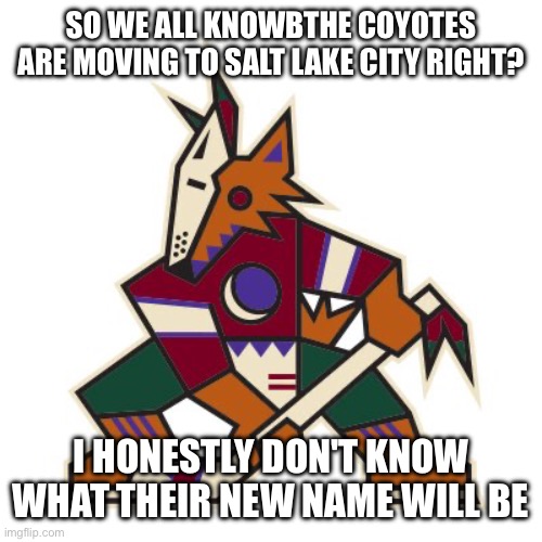 Arizona Coyotes | SO WE ALL KNOWBTHE COYOTES ARE MOVING TO SALT LAKE CITY RIGHT? I HONESTLY DON'T KNOW WHAT THEIR NEW NAME WILL BE | image tagged in arizona coyotes | made w/ Imgflip meme maker