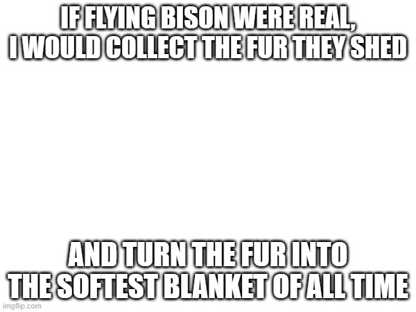 Either that or the itchiest blanket of all time | IF FLYING BISON WERE REAL, I WOULD COLLECT THE FUR THEY SHED; AND TURN THE FUR INTO THE SOFTEST BLANKET OF ALL TIME | image tagged in avatar the last airbender,appa,blanket | made w/ Imgflip meme maker