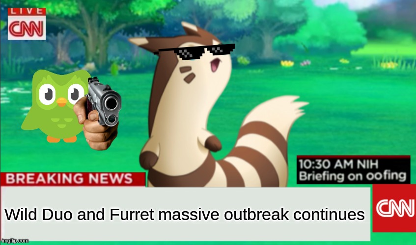 Breaking News Furret | Wild Duo and Furret massive outbreak continues | image tagged in breaking news furret,duolingo | made w/ Imgflip meme maker