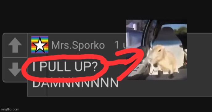 made w/ Imgflip meme maker