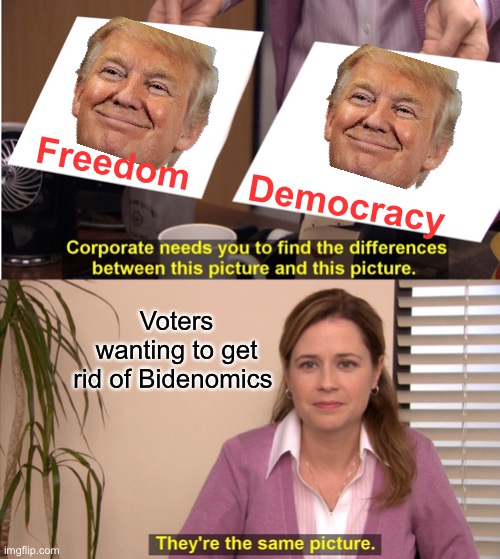 They're The Same Picture Meme | Freedom Democracy Voters wanting to get rid of Bidenomics | image tagged in memes,they're the same picture | made w/ Imgflip meme maker