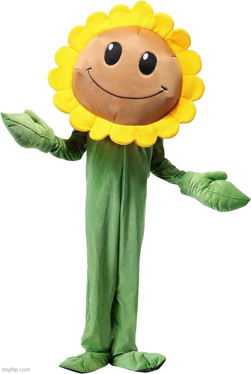 MRS FLOWER | made w/ Imgflip meme maker