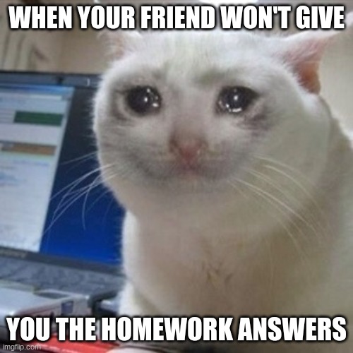 Crying cat | WHEN YOUR FRIEND WON'T GIVE; YOU THE HOMEWORK ANSWERS | image tagged in crying cat,homework | made w/ Imgflip meme maker