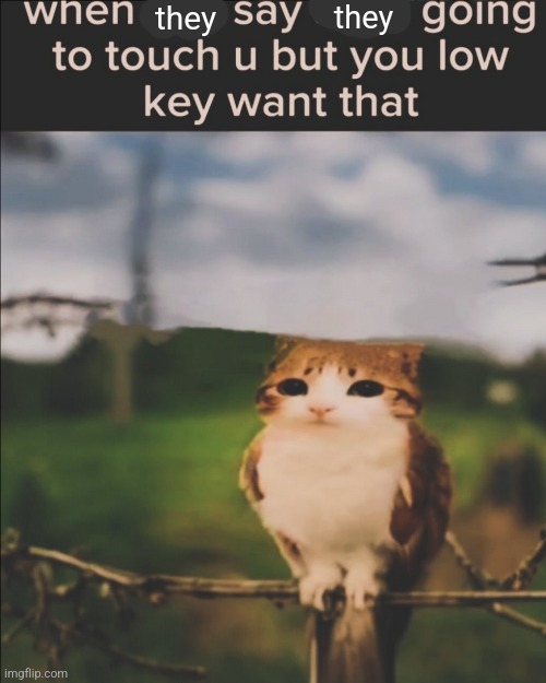 they; they | made w/ Imgflip meme maker