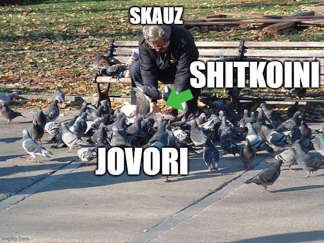 SKAUZ; SHITKOINI; JOVORI | made w/ Imgflip meme maker