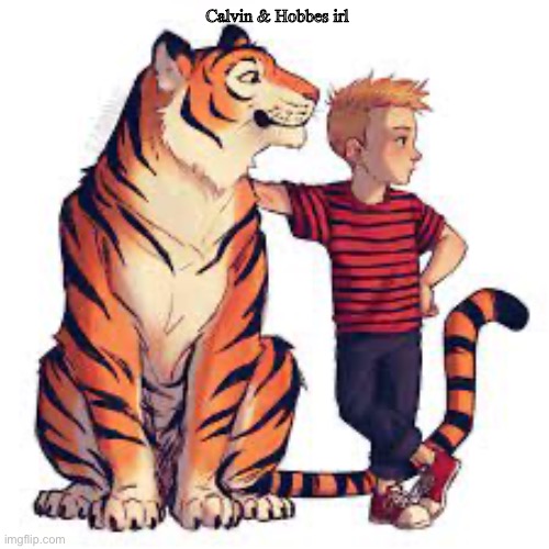Not actually mine, but it’s cute | Calvin & Hobbes irl | image tagged in calvin and hobbes | made w/ Imgflip meme maker